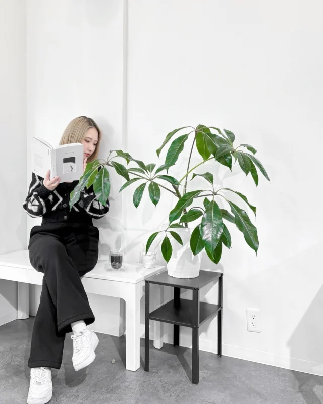 TOP - Mono Flore
